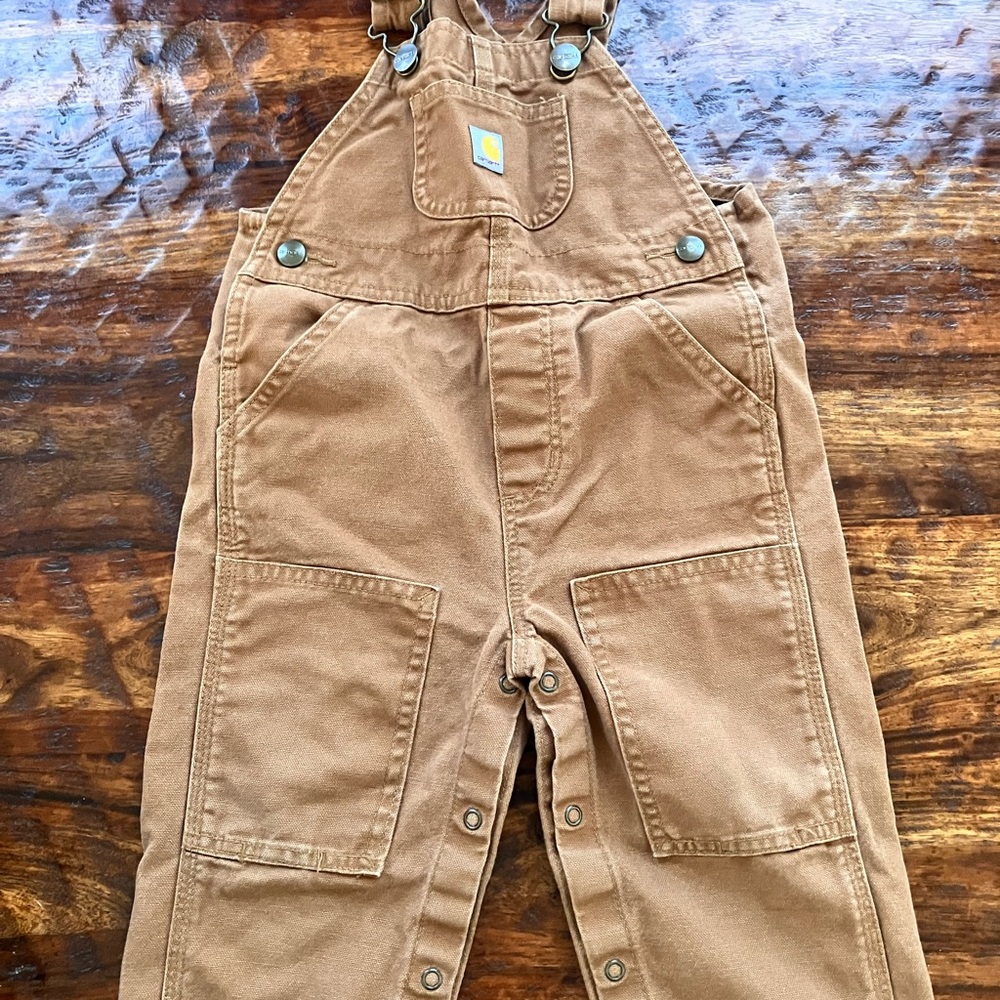 Lot of carhartt Patagonia cloths 12-24m